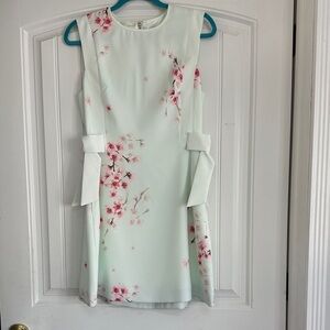 Ted Baker London Mint Floral Midi Dress